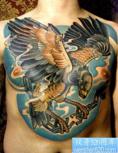 胸口上一幅漂亮的欧美老鹰纹身图片