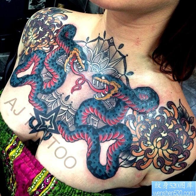 一幅胸部个性蛇纹身图片