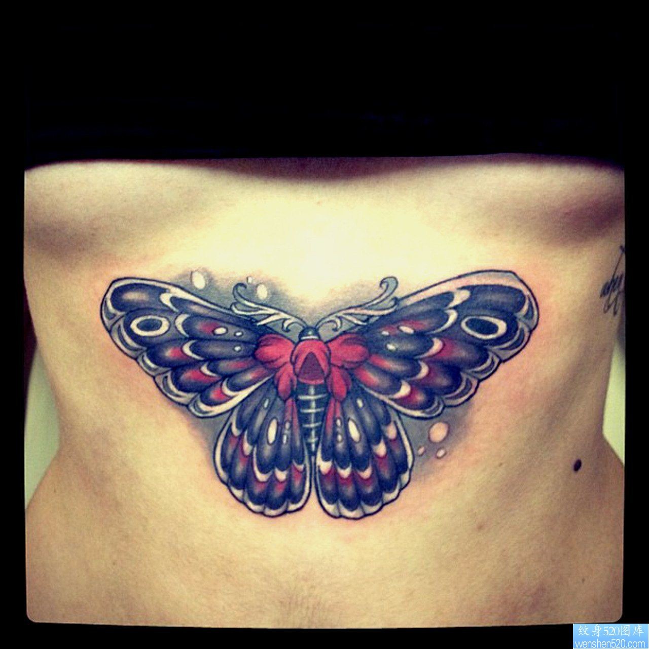 为大家一潮流的蝴蝶纹身图片
