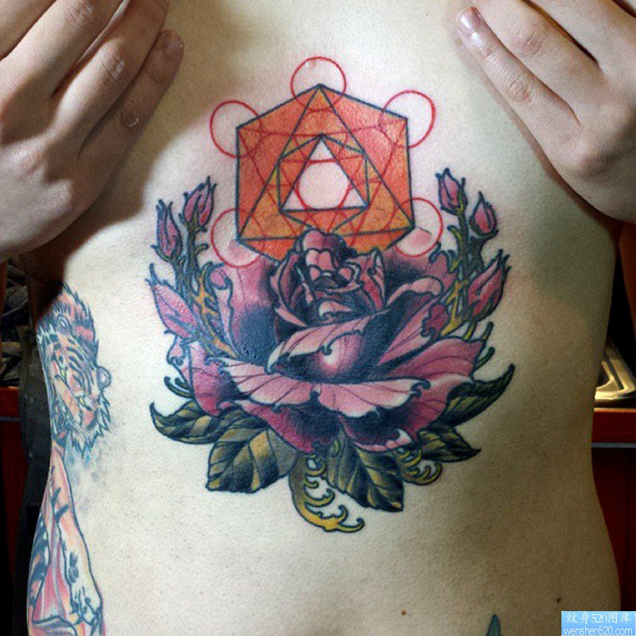 一幅欧美胸口玫瑰花纹身图片