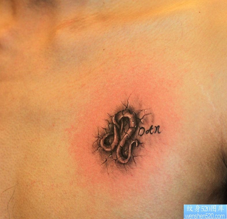 一幅前胸星座纹身图片由纹身520图库推荐