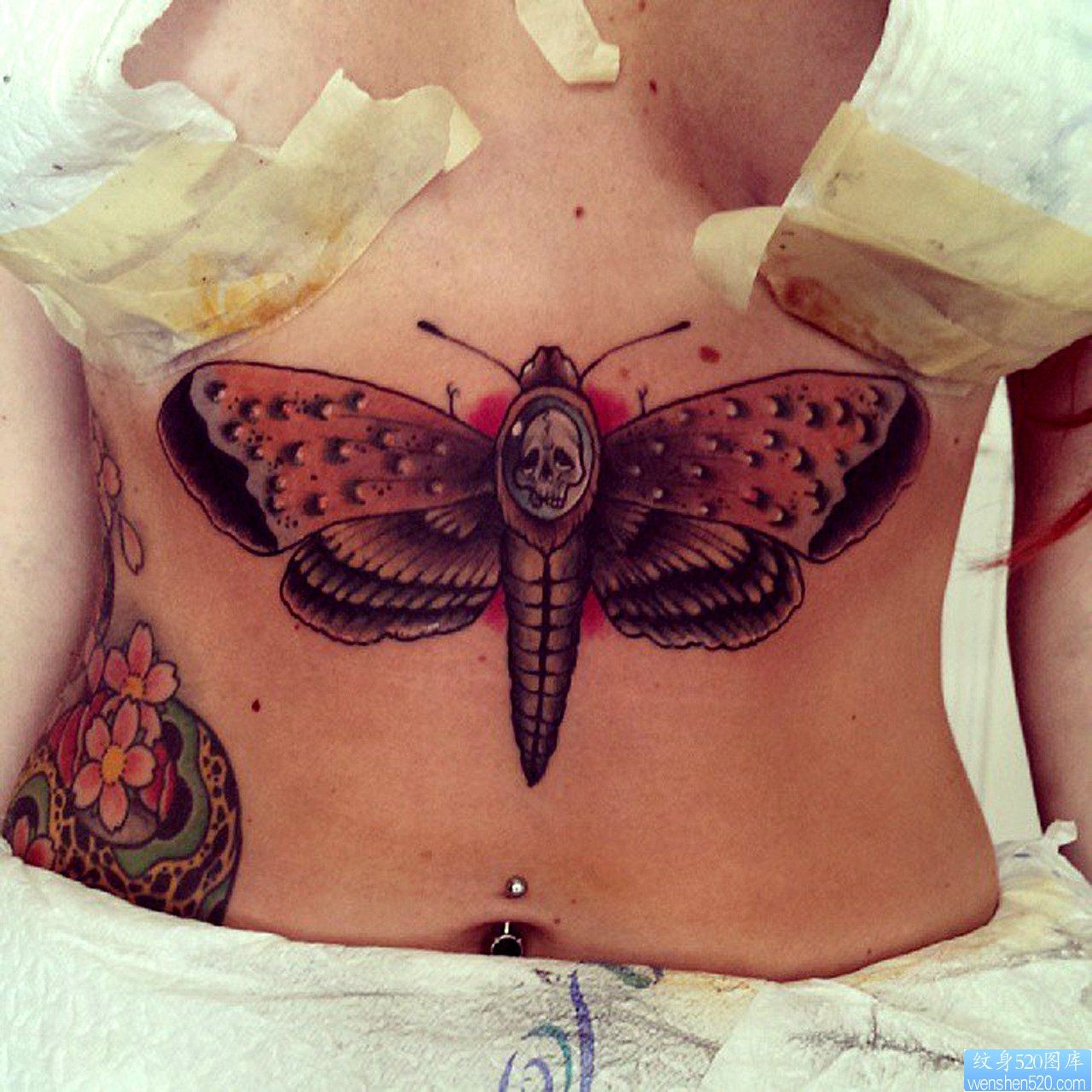推荐胸部下面一幅潮流蝴蝶纹身图片