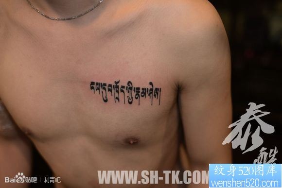 男生胸部一幅梵文纹身图片