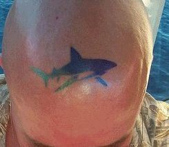 头部纹身图片：图标彩色图腾鲨鱼纹身图片纹身作品