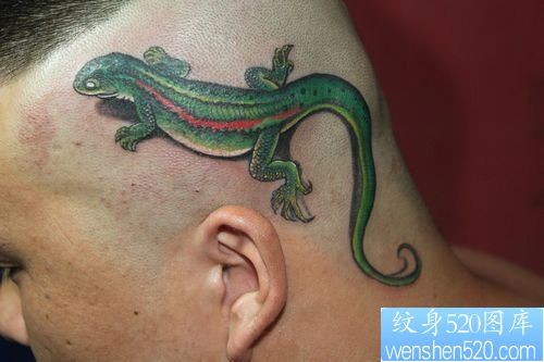 头部一幅彩色蜥蜴纹身图片