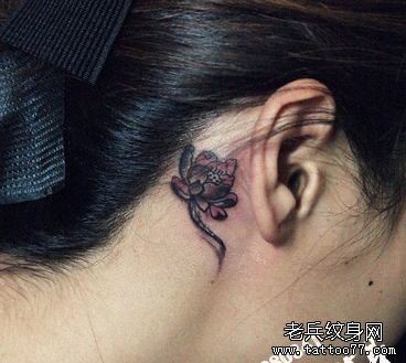 女孩子耳部一幅小莲花纹身图片