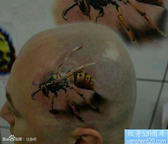 男生头上一幅写实蜜蜂纹身图片