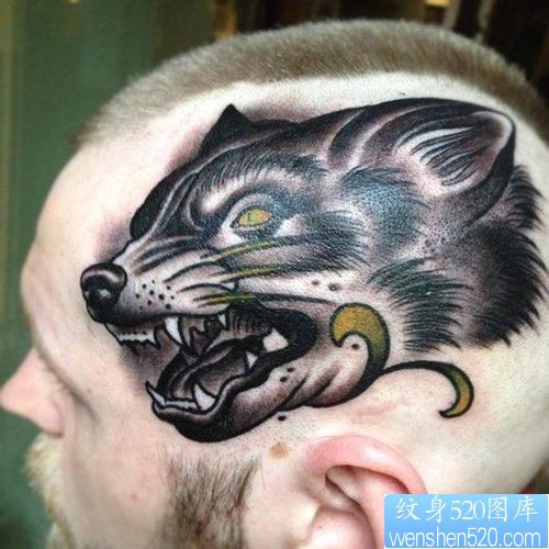 男生头部帅气时尚的狼头纹身图片