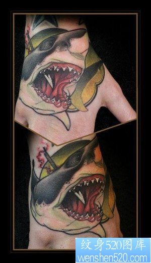 手臂帅气经典的一幅鲨鱼纹身图片
