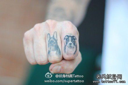 手指可爱的小狗纹身图片
