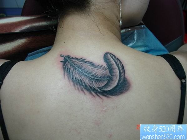 女人脖子羽毛纹身图片