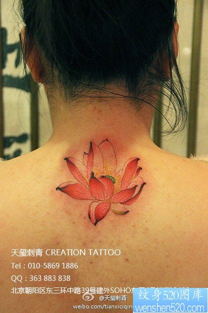 女人后脖子精美漂亮的彩色莲花纹身图片