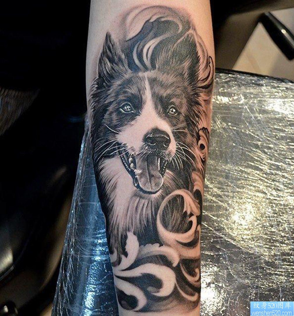 欣赏一幅个性的小狗纹身图片