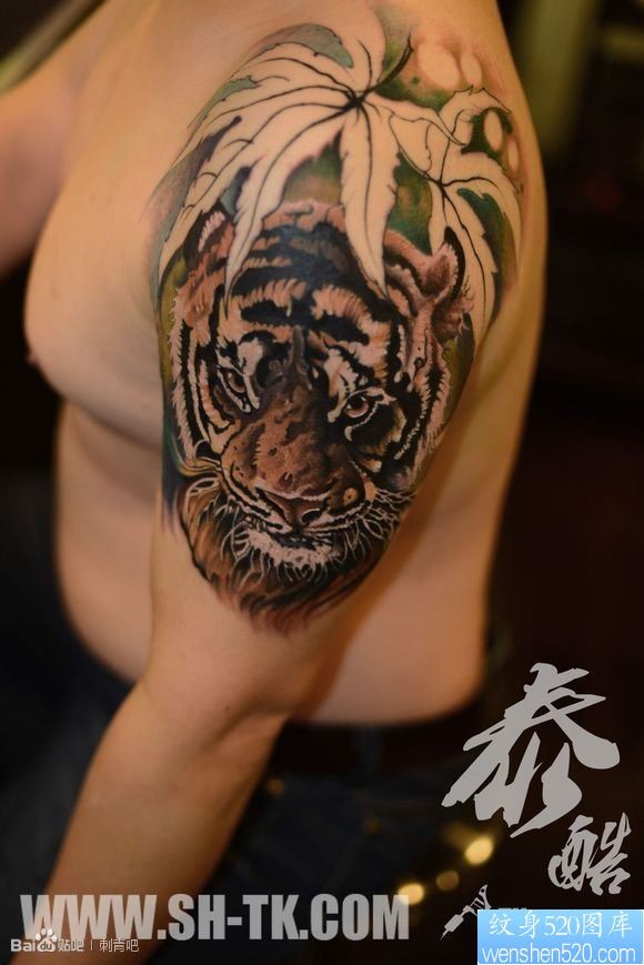 胳膊丛林之虎纹身图片