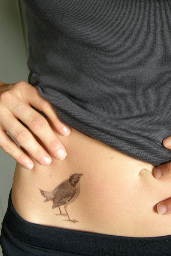 女性腹部一只小鸟纹