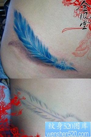 腹部纹身图片：美女腹部彩色羽毛纹身图片纹身作品
