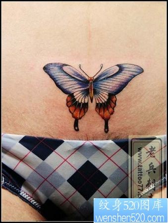 美女腹部彩色蝴蝶纹身图片纹身作品