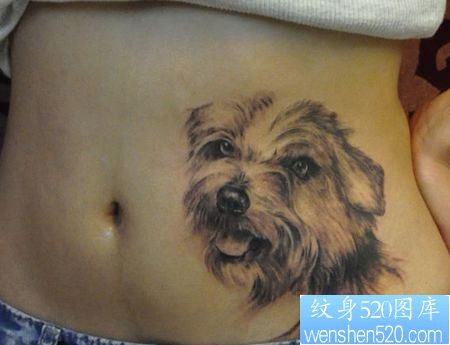腹部纹身图片：腹部小狗纹身图片纹身作品