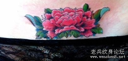 腹部纹身图片：美女腹部彩色牡丹花纹身图片纹身作品
