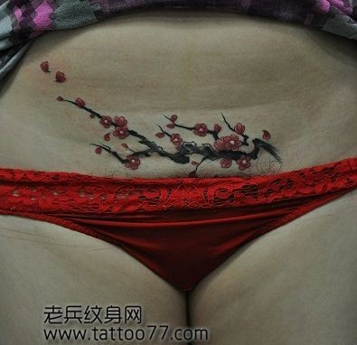 美女腹部彩色梅花纹身图片