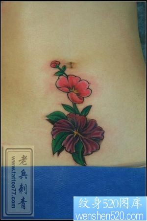 腹部纹身图片：美女腹部彩色花卉纹身图片纹身作品