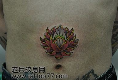 一幅腹部欧美风格的莲花纹身图片