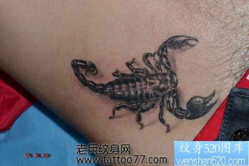 一幅腹部帅气的蝎子纹身图片