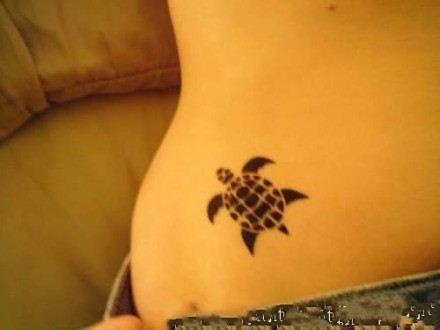 美女腹部可爱的小海龟纹身图片