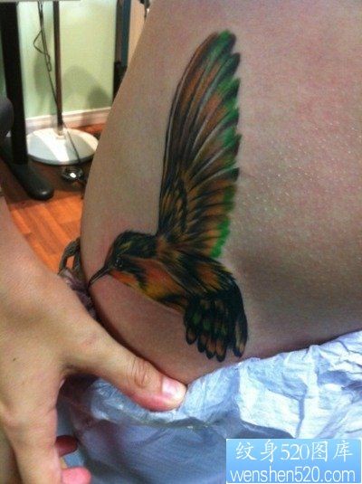 女孩子腹部彩色小蜂鸟纹身图片