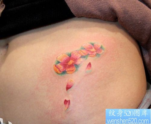 女孩子腹部唯美好看彩色樱花纹身图片
