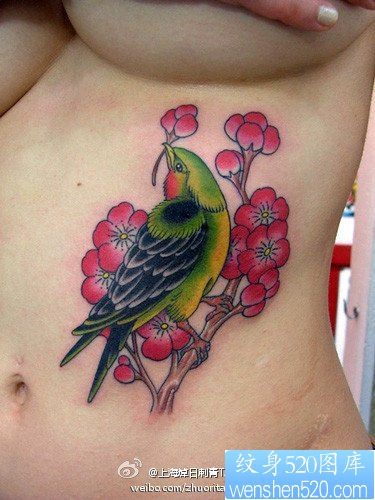 女性腹部彩色小鸟纹身图片