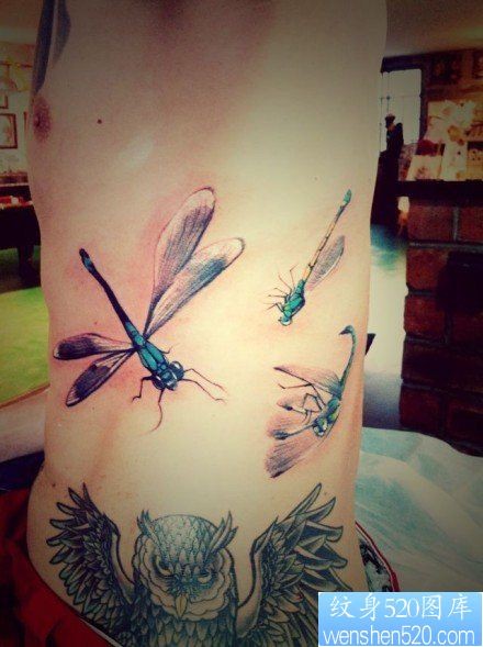 男孩子腹部彩色小蜻蜓纹身图片