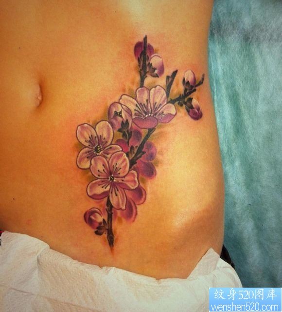 女人腹部潮流漂亮的梅花纹身图片