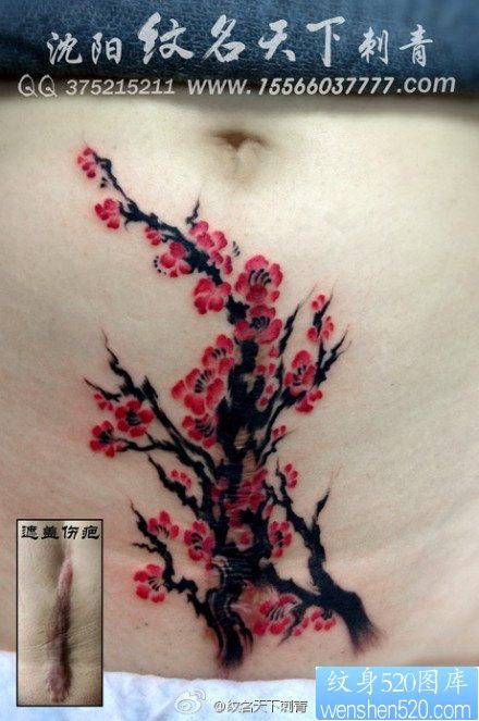 女性腹部疤痕遮盖－唯美潮流的梅花纹身图片