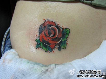 女人腹部小巧唯美的new school玫瑰花纹身图片