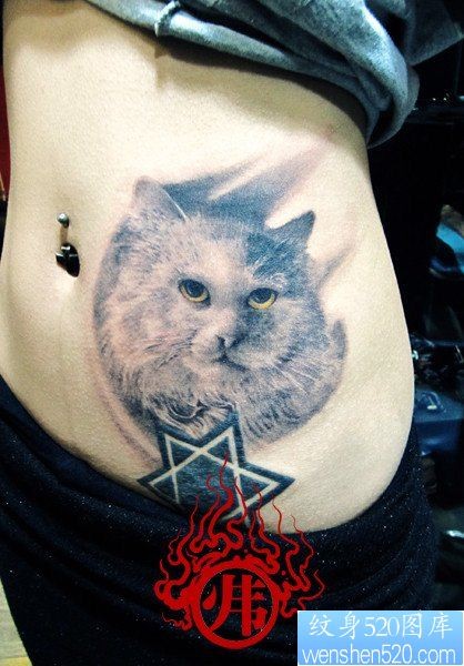 美女腹部时尚经典的素描黑白猫咪纹身图片