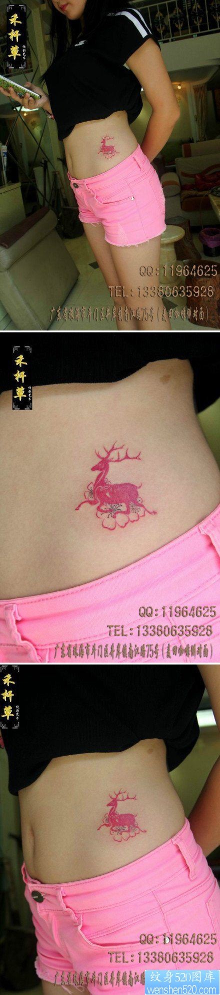 女人腹部可爱小巧的梅花鹿纹身图片
