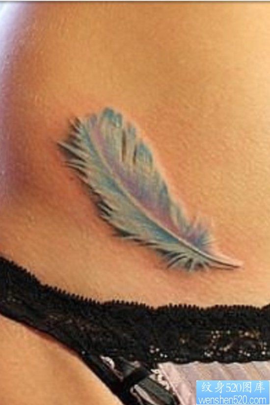 女人腹部清雅的彩色羽毛纹身图片