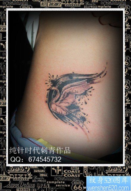 女人腹部一幅小天鹅纹身图片
