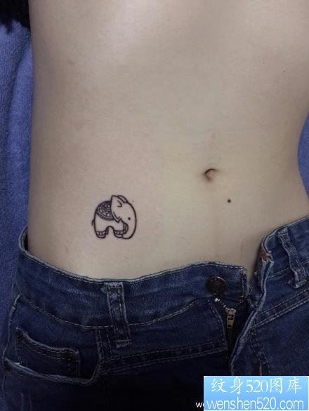 女人腹部一幅小巧的小象纹身图片