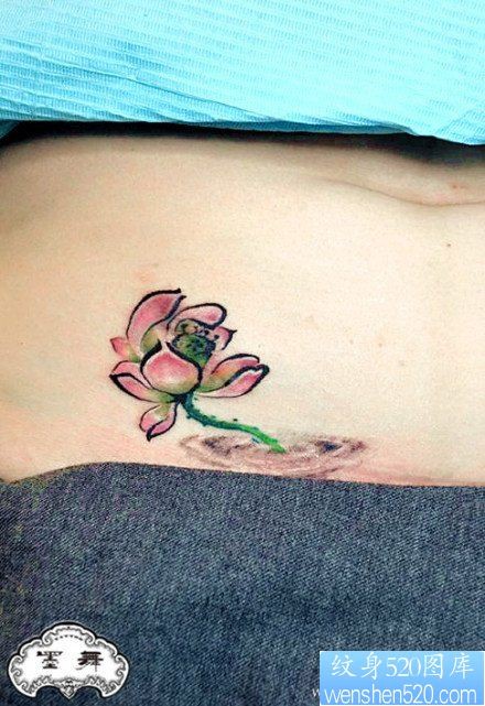 女人腹部唯美时尚的写意莲花纹身图片