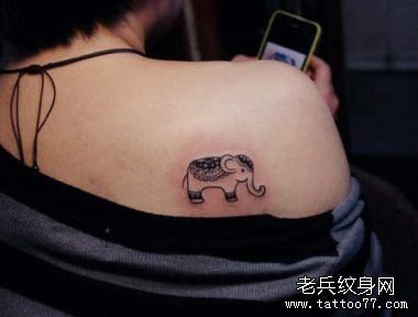 女孩子肩背可爱的图腾小象纹身图片
