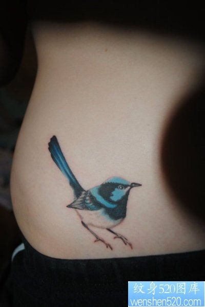 美女腰部彩色小鸟纹身图片