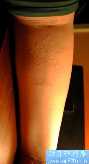 手臂一幅白色小树纹身图片