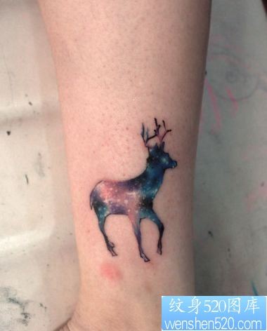 腿部潮流另类的小鹿星空纹身图片
