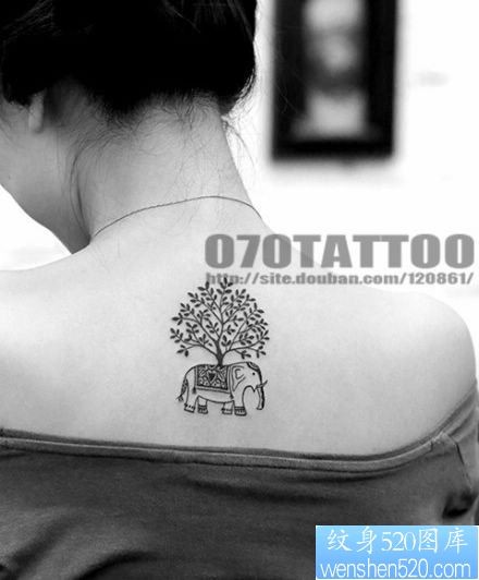 美女背部小象与菩提树纹身图片