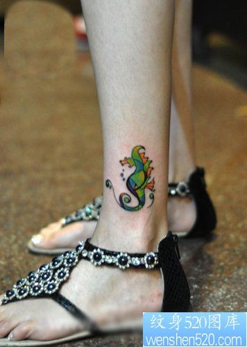 美女腿部漂亮的彩色海马纹身图片