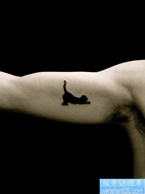 男人手臂可爱的图腾猫咪纹身图片