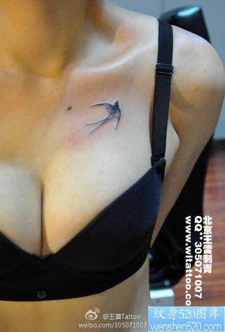 美女胸前简单好看的小燕子纹身图片