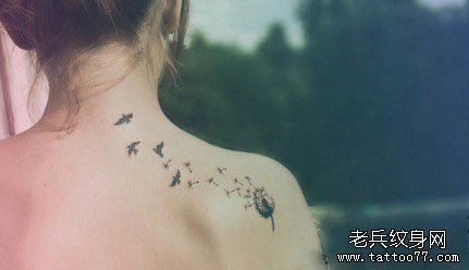 女孩子肩膀处流行的蒲公英纹身图片